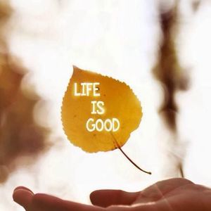 Meet your Posher, Stefanie